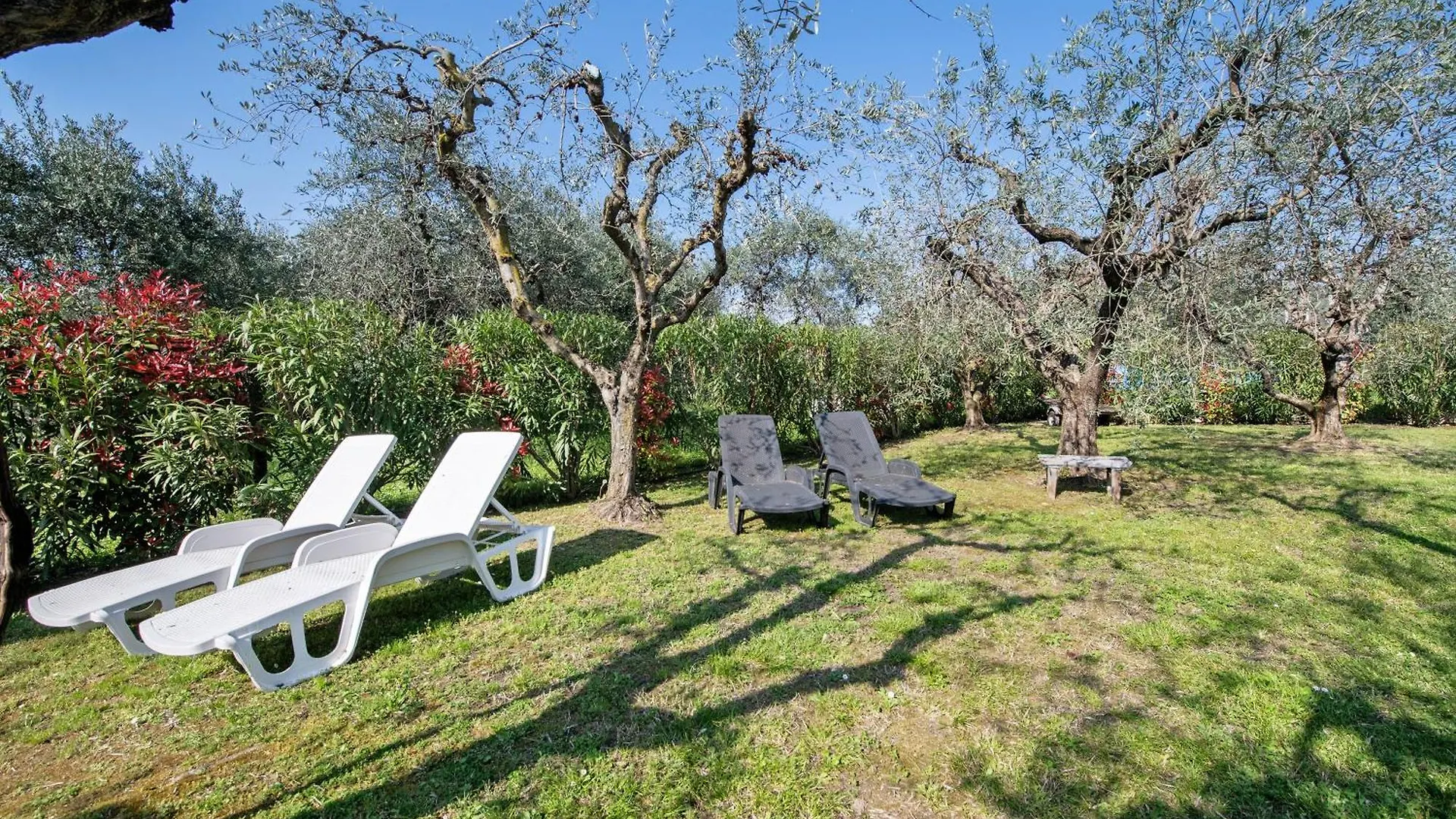 Farm stay Agriturismo Cantarane Country House Bardolino